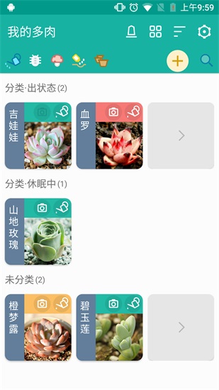 多肉成长记app下载截图1