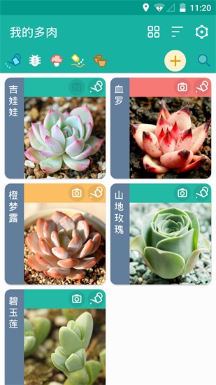 多肉成长记app下载截图2
