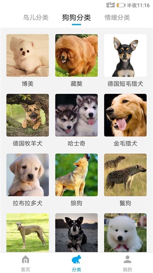 动物翻译器中文版下载免费截图3