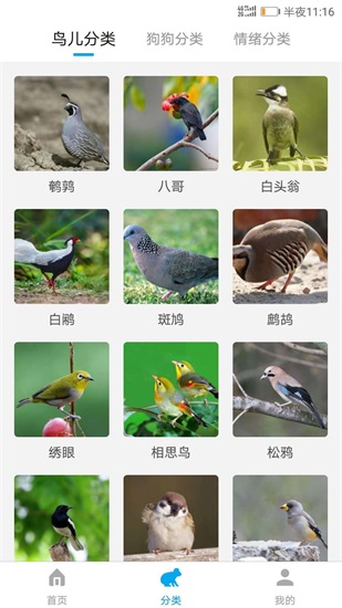 动物翻译器中文版下载免费截图2