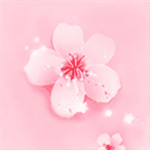 梅花视频不限次数看花钱么解锁版