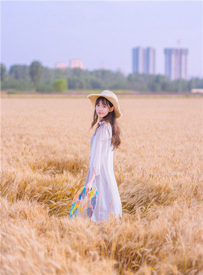 向日葵app下载汅api免费丝瓜视频截图3