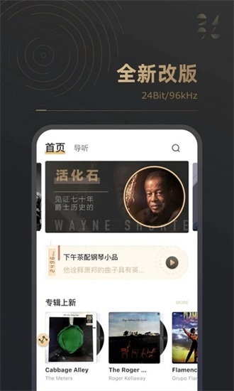 2496音乐安卓版下载截图2