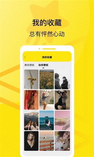 星星壁纸安卓版截图3