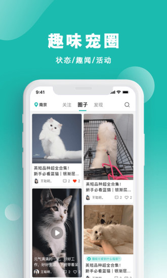 宠都app下载