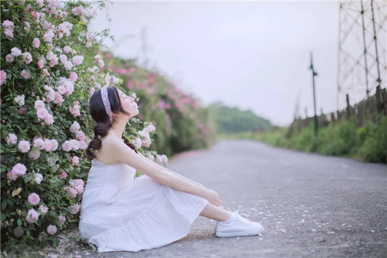 xfb88.xyf幸福宝站长统计截图3