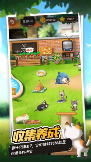 猫语咖啡无限金币版截图1