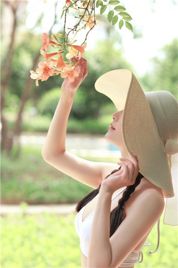 樱花草免费播放截图1