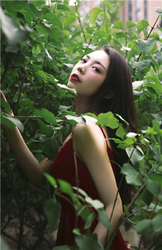 好看的直播软件有哪些截图3