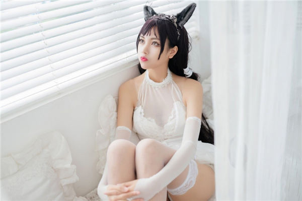 bt天堂网WWW最新版