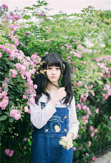 24小时免费看的视频哔哩哔哩解锁版截图3