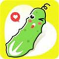黄瓜菠萝水蜜桃榴莲秋葵