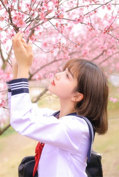 丝瓜秋葵番茄绿巨人草莓香蕉截图3