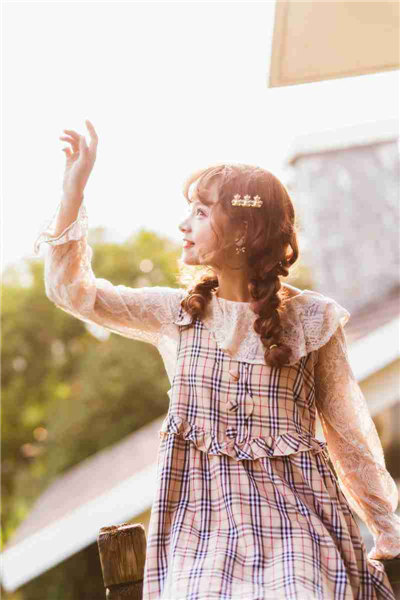 japonensis javahbb截图3