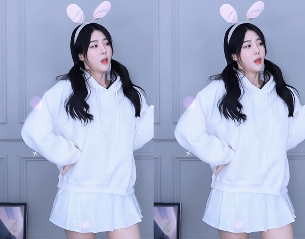 51大豆行情网入口