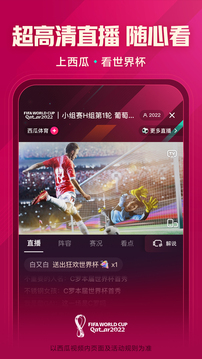 西瓜视频免费下载官方版截图3