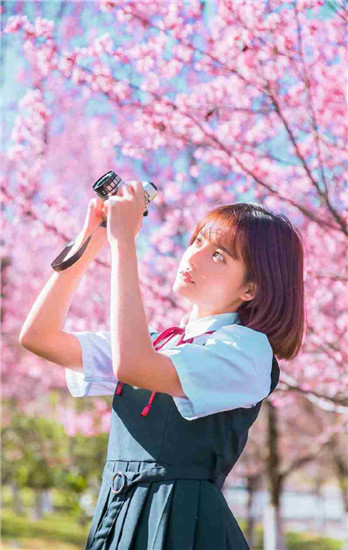 野花电影3在线观看免费完整版截图3