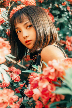 向日葵丝瓜草莓合欢香蕉秋葵截图3