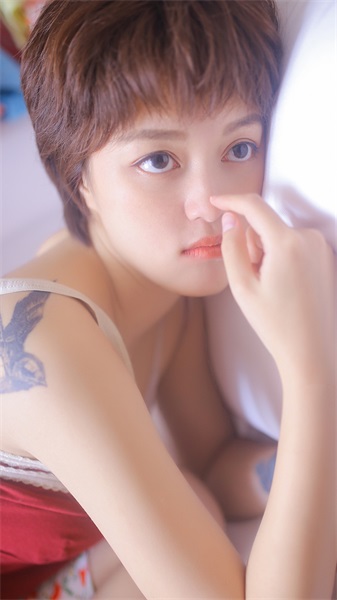 花蝴蝶免费视频在线观看高清版完整版截图1