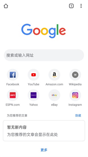 谷歌浏览器app最新版截图3