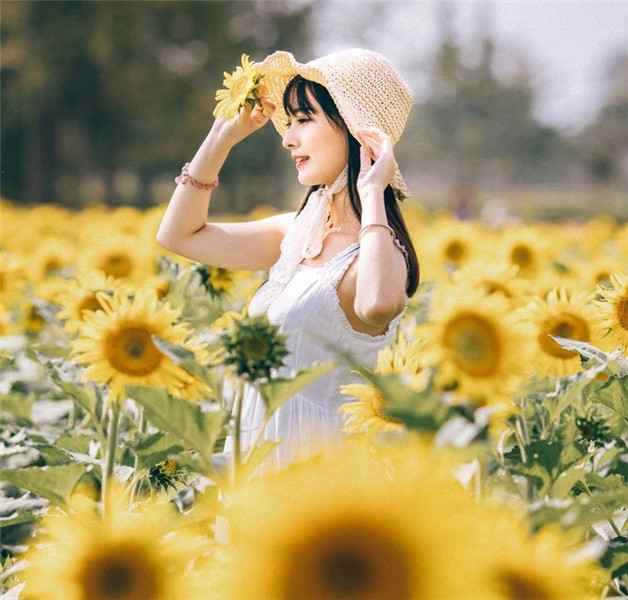 丝瓜草莓榴莲向日葵18岁app精品版截图2