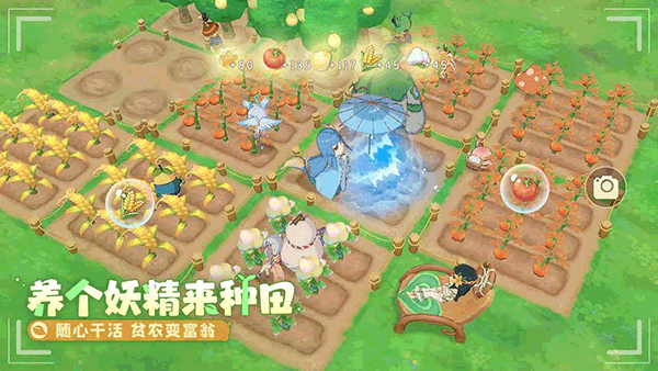 织梦森林官方正版截图1