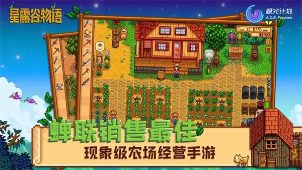 星露谷物语汉化版截图1