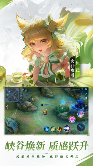 王者荣耀全皮肤解锁版截图5