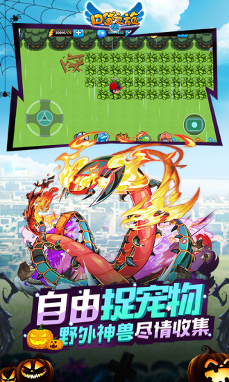 口袋之旅