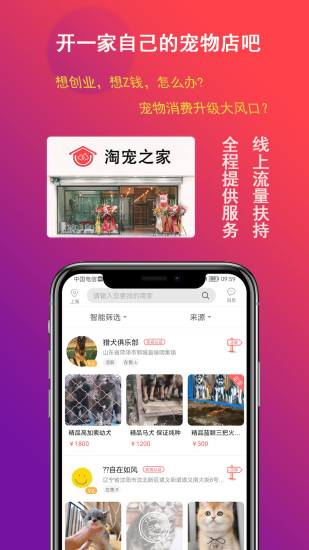淘宠网app下载安装