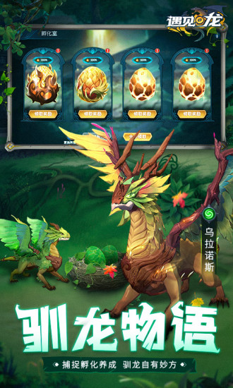 遇见龙破解版下载