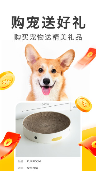 买只宠物app下载截图1