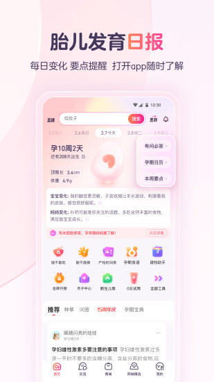 宝宝树孕育app官方版